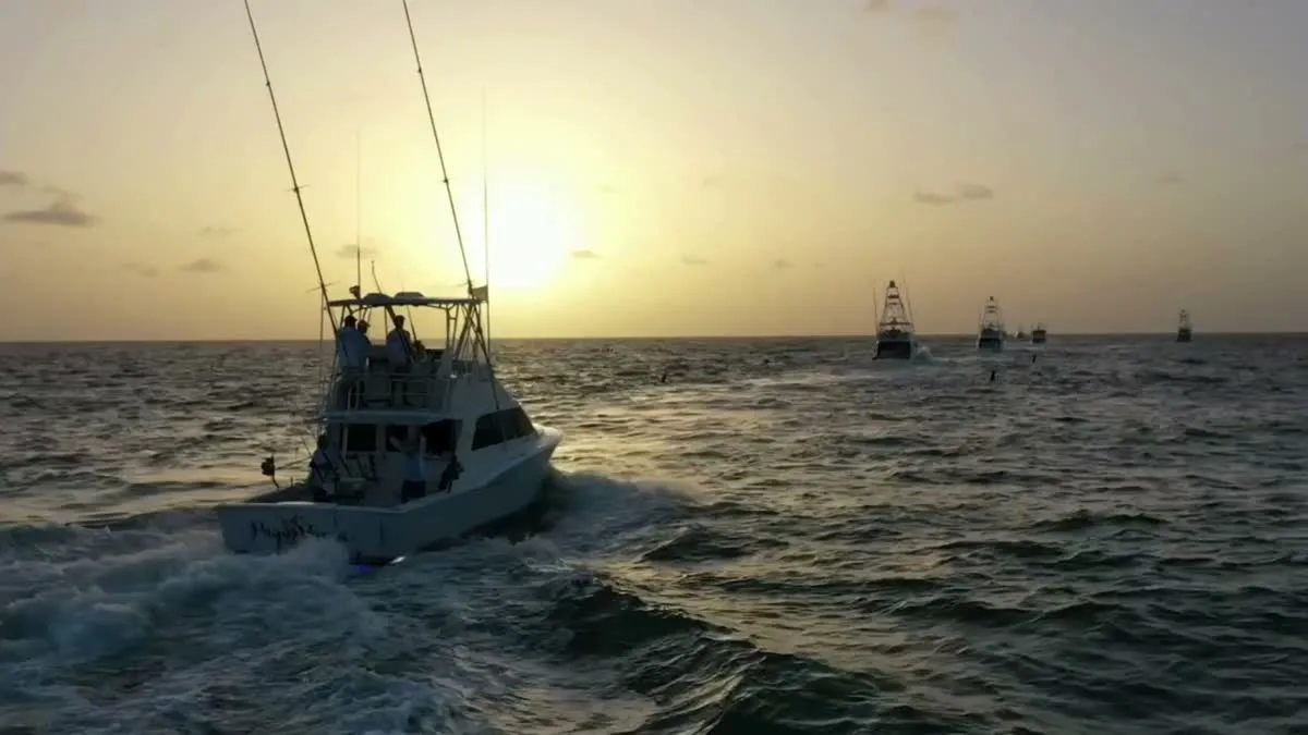Cap Cana Marina